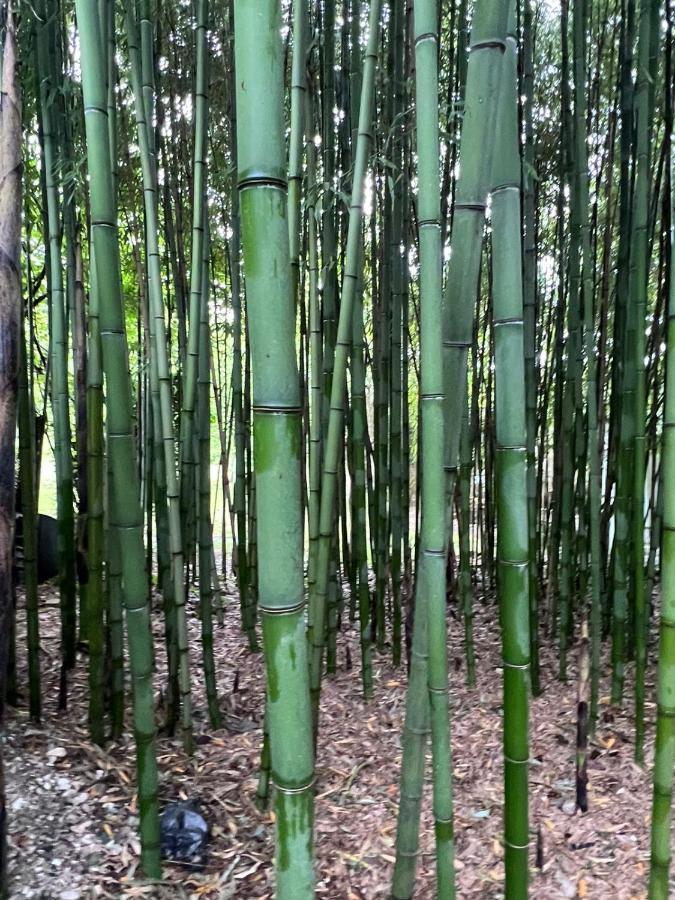 Бунгало Kheivani ภายนอก รูปภาพ